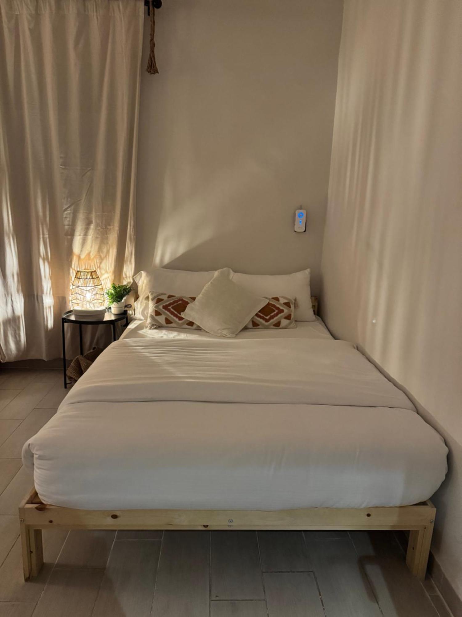 استديو جديد العقيق Cozy Homey